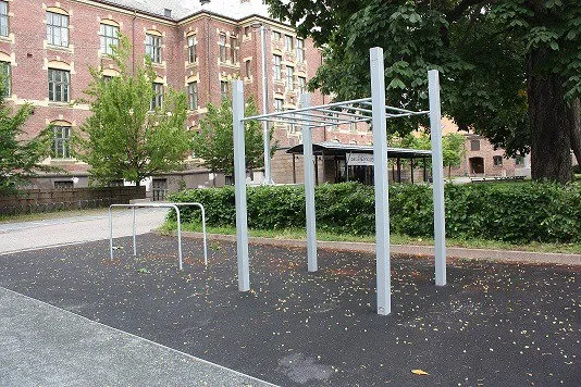 Denfit DSW4354 dipstativ parallel bars udendørs