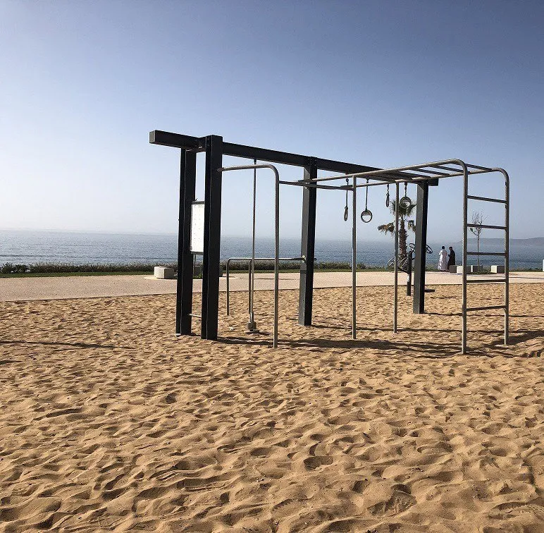 Denfit Crosstraining Pro 1 udendørs træningsstation monkey bars