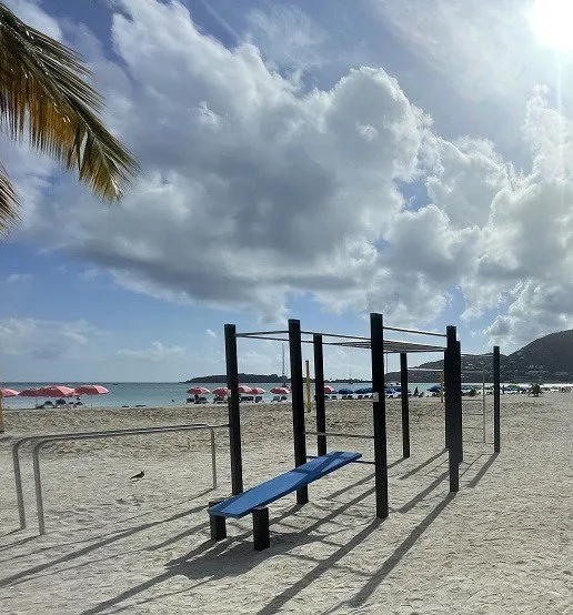 Denfit DSW4572 Wall Monkey Bars træningsstation med bænk