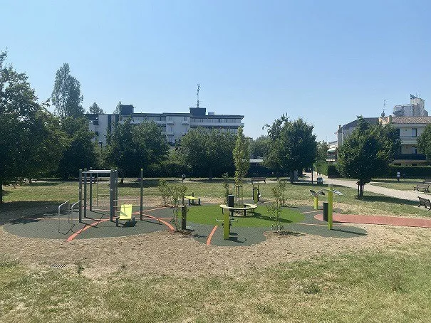 Denfit DSW4564 træningsstation monkey bars pull-up
