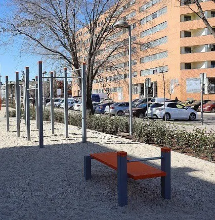 Denfit Streetworkout DSW4119 mavebaenk sit up