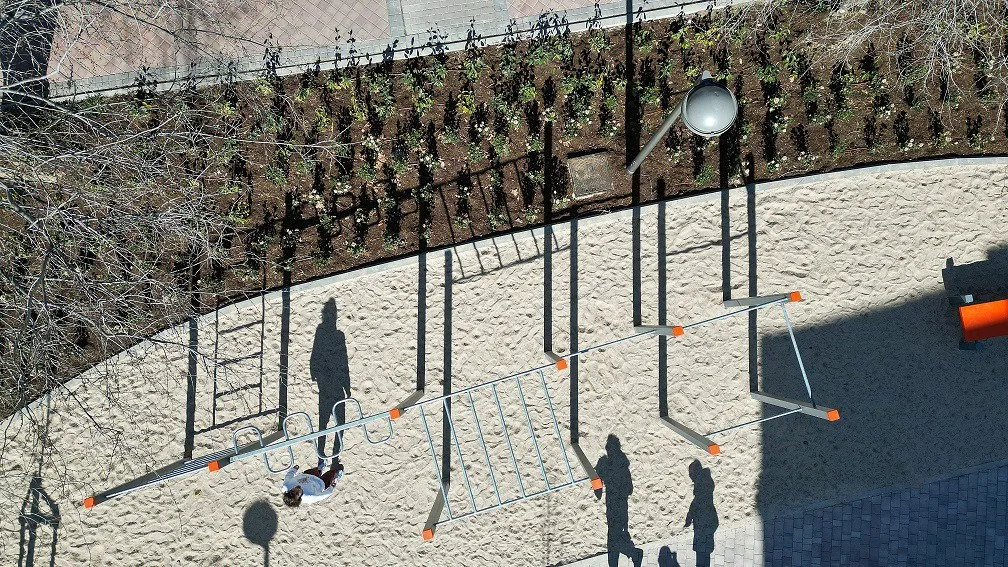 Denfit DSW4559 træningsstativ udendørs monkey bars