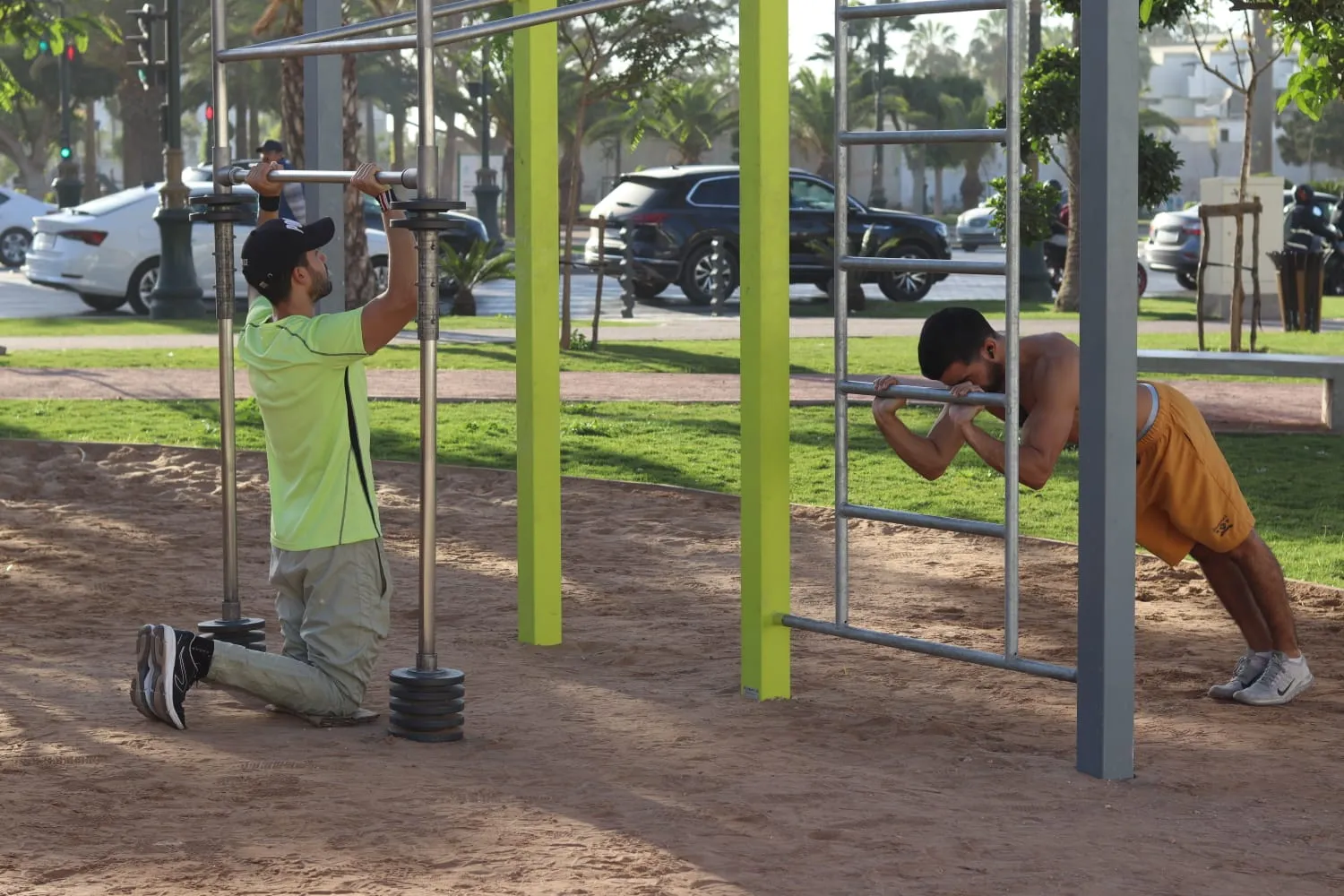 Denfit DSW4459 Squat pullup træningsstation