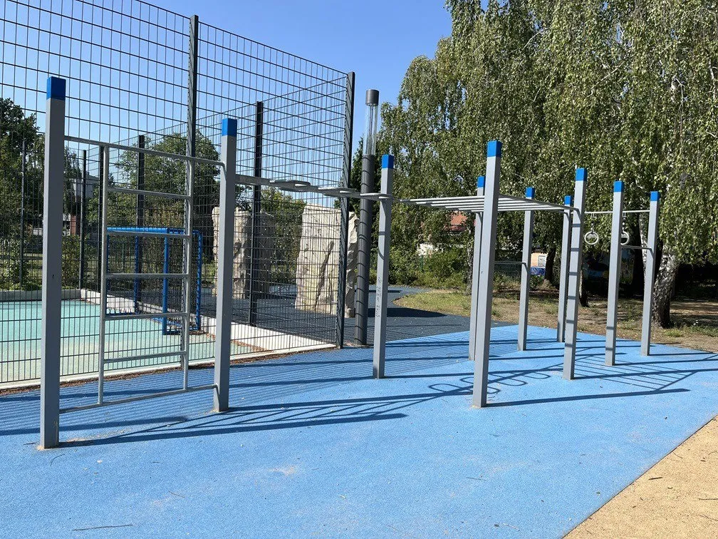 Denfit DSW4585 monkey bar wave pullup ringe