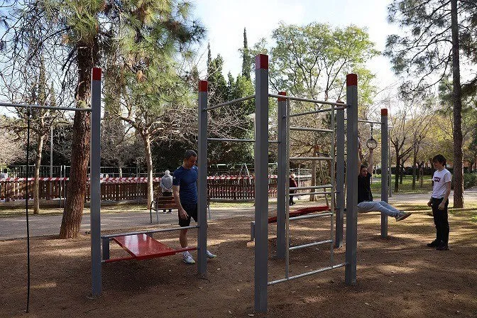 Denfit Streetworkout DSW4574 træningsstation med ringe