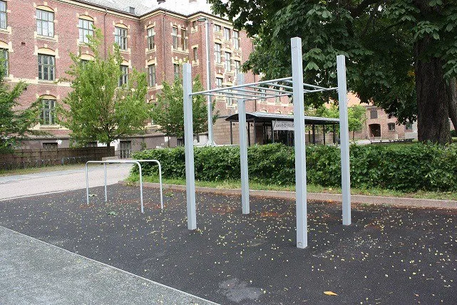 Denfit DSW4251 Monkey Bars One Level klatrestativ
