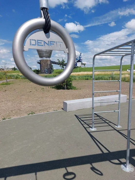 Denfit Crosstraining Pro 1 udendørs træningsstation monkey bars