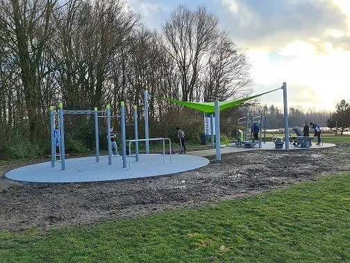 Denfit Streetworkout DSW4588 vægstation monkey bars