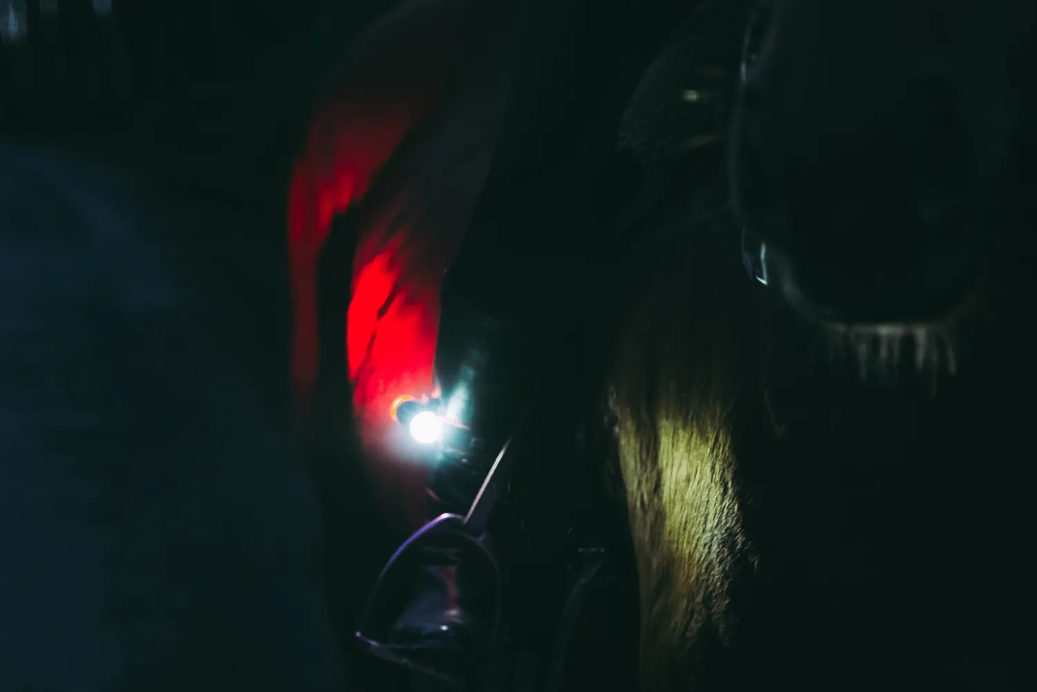 Exposure Link Plus DayBright ridelygte med pulslys