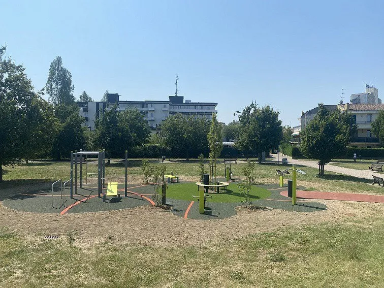 Denfit Streetworkout DSW4260 træningsstation monkey bars