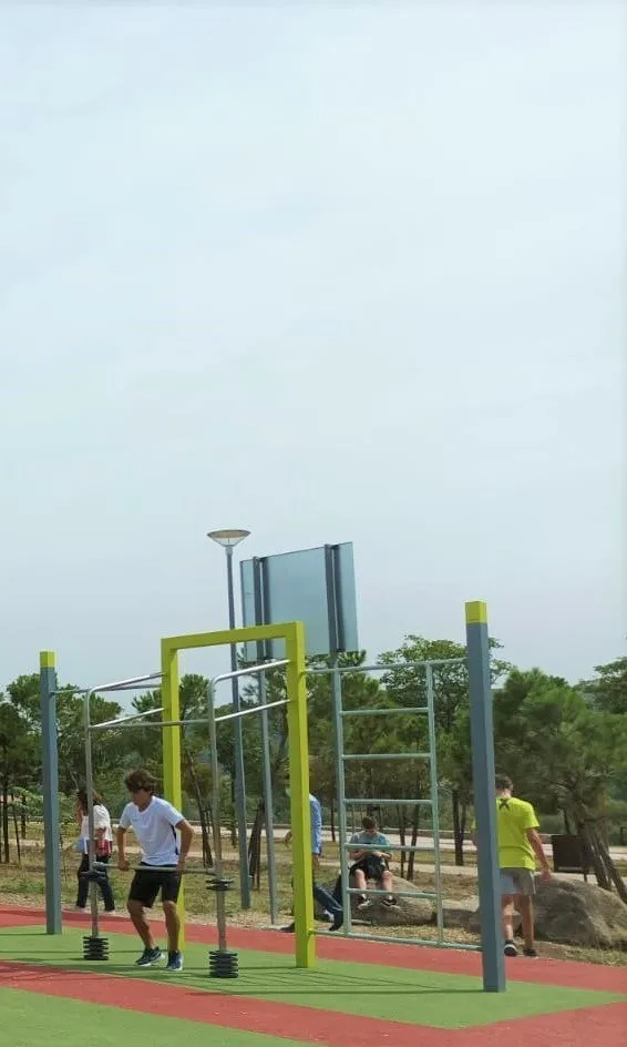 Denfit DSW4459 Squat pullup træningsstation