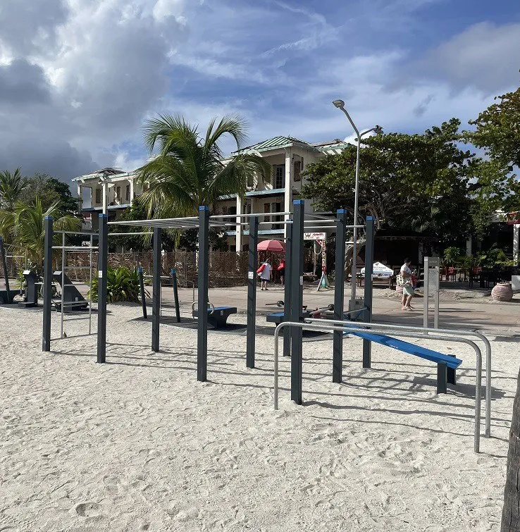 Denfit DSW4572 Wall Monkey Bars træningsstation med bænk